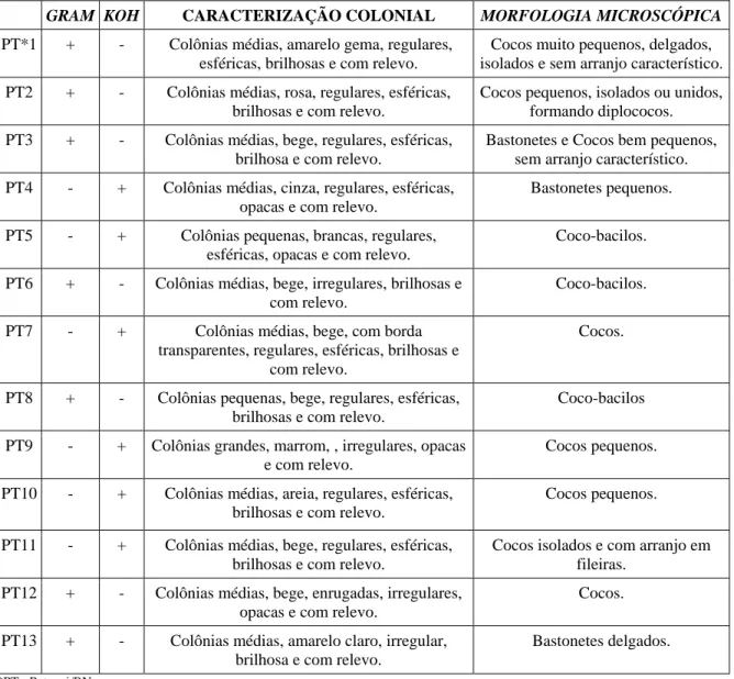 Tabela 4. Bactérias degradadoras de petróleo, selecionadas pela técnica de enriquecimento de culturas, a  partir e sedimento de mangue do estuário do Rio Potengi, município de Natal, RN