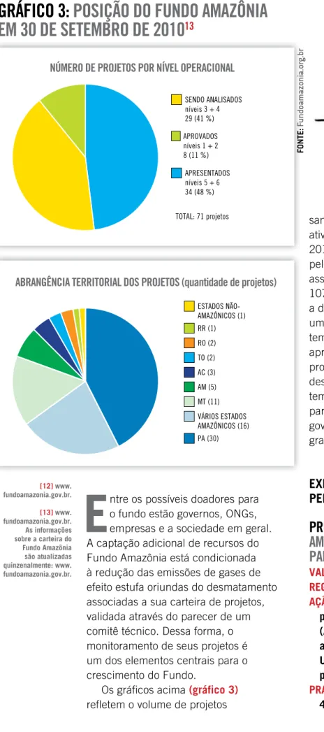 GRÁFICO 3:  POSIÇãO DO FUNDO AMAZÔNIA  EM 30 DE SEtEMBRO DE 2010 13 SENDO ANALISADOS níveis 3 + 4 29 (41 %) APROVADOS níveis 1 + 2 8 (11 %) APRESENTADOS níveis 5 + 6 34 (48 %) TOTAL: 71 projetos ESTADOS  NÃO-AMAZÔNICOS (1) RR (1) RO (2) TO (2) AC (3) AM (5