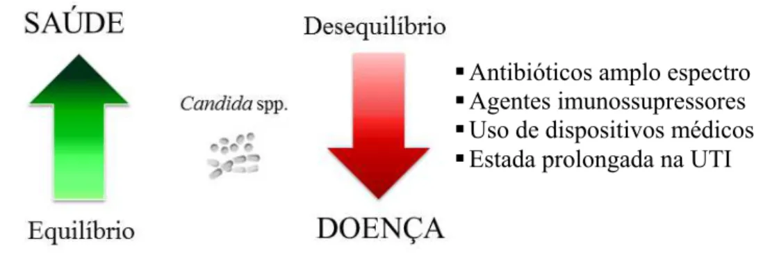 Figura 1 - Alguns fatores de risco para incidência de infecções invasivas por Candida spp