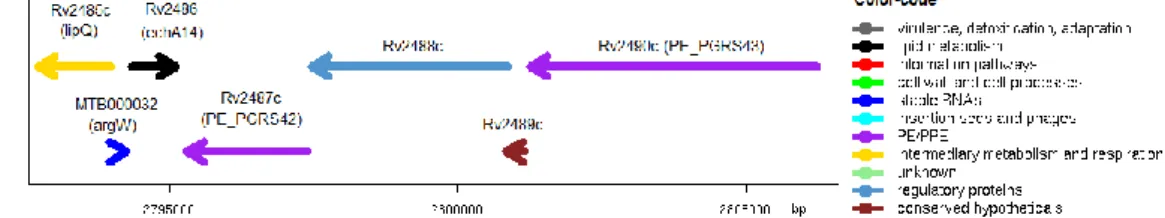 Fig. 3.1 – Genetic locus of Rv2488c. Gene function is color-coded. Adapted from Tuberculist