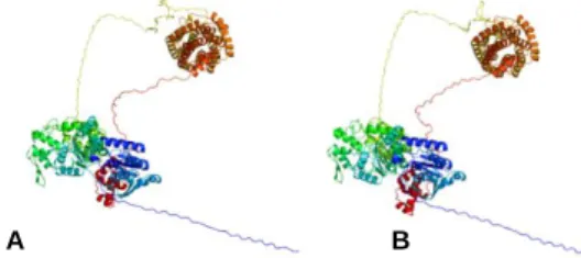 Fig.  3.3  -  Predicted  3D  models  of  Rv2488c  for  M.  tuberculosis  H37Rv  (A  -  Model  dimensions  (Å)  X:  103.126 Y:  219.865 Z: 