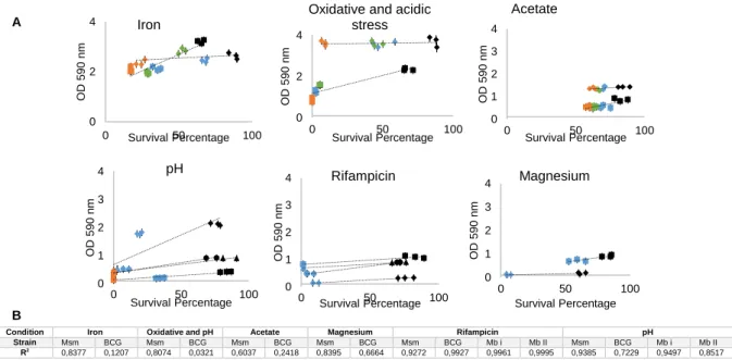 Fig.  3.10  – (A)  Correlation between  survival  percentage and  optical  density  at 590 nm  (indicating  crystal-violet-  stained adherent cells) of different mycobacterial strains under host-like conditions