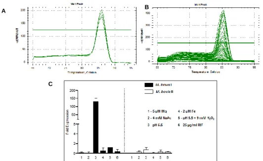 Fig. 3.11 – (A) Melting peaks for the qPCR optimization reaction performed for 16S reference gene