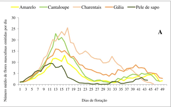 Figura 7: Número médio de flores masculinas (A) e hermafroditas/femininas (B) emitidas por  planta a cada dia em cinco diferentes tipos de meloeiro (Cucumis melo) nos anos de 2014 e 