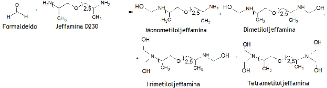Figura 9- Mecanismo proposto de reação de metilolação formando mono, di,tri e tetra  metiloljeffaminas
