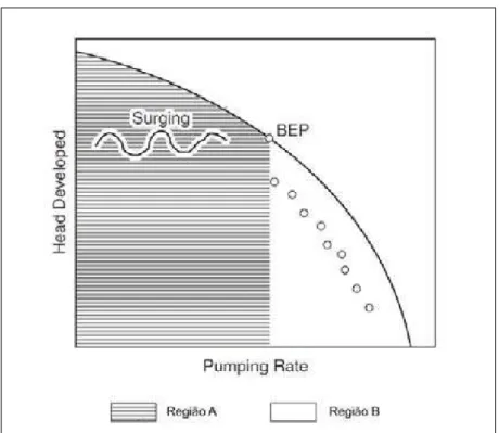 Figura 3.10: Tendências de perda de desempenho da bomba centrífuga