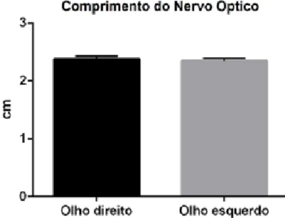 Figura 2: Comparação do comprimento do nervo óptico do olho direito e esquerdo.