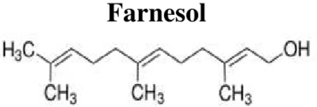 Figura 4: Fórmula estrutural da molécula farnesol. 