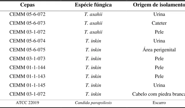 Tabela 1:  Identificação  e origem  de isolamento  das cepas de  Trichosporon utilizadas neste  estudo