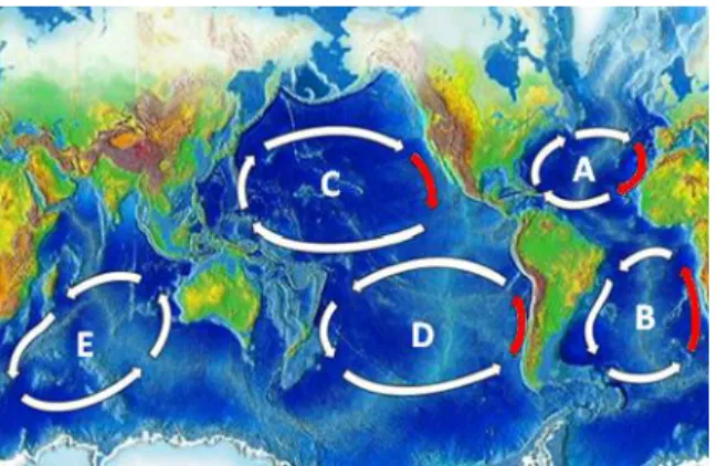 Figura 2 – Localização geográfica dos principais giros oceânicos: Giro subtropical do Atlântico Norte  (A), Giro subtropical do Atlântico Sul (B), Giro subtropical do Pacífico Norte (C), Giro subtropical do 
