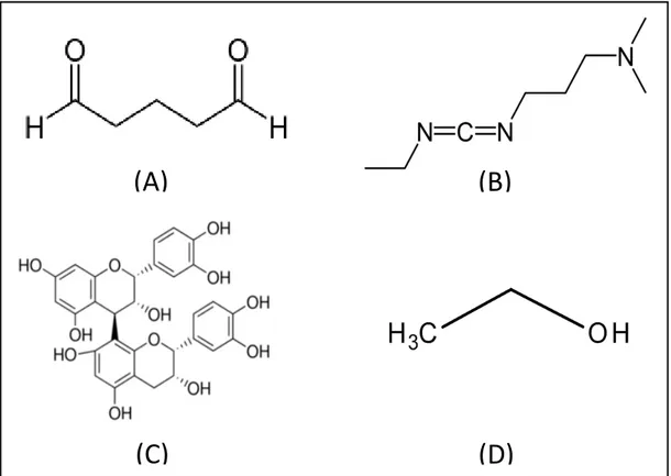 Fig. 1: Images of the structural chemical formulas of the biomodification agents used, GA (A),  EDC (B), PAC (C) and AE (D)
