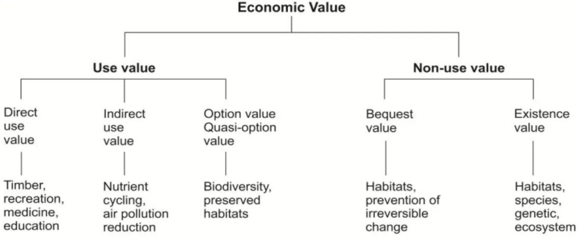 Figura 1: The economic value of a National Park.  