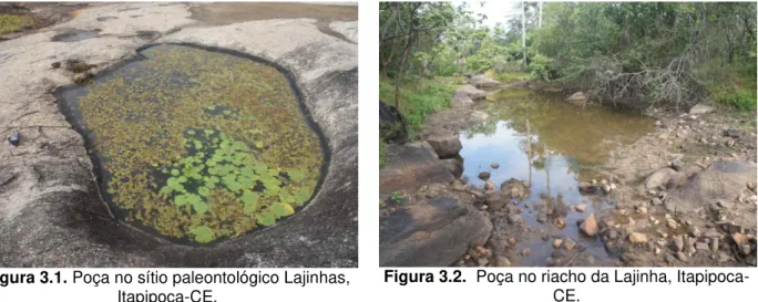 Figura 3.1. Poça no sítio paleontológico Lajinhas,  Itapipoca-CE. 