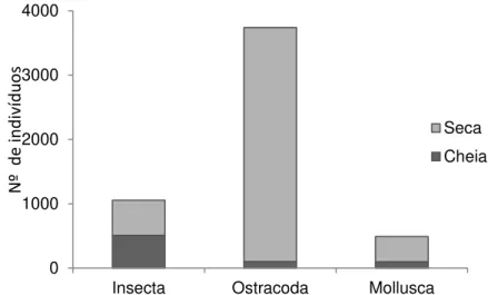 Figura 3.6. Abundância de macroinvertebrados nas quatro poças presentes no período de cheia e de  seca