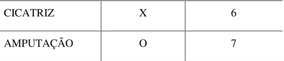 TABELA 2 – Chave de classificação dos tipos sem classificação. 