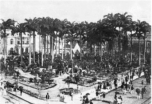 Figure 1: Jardim do Campo das Princesas, currently Praça da República, in Recife. Note the open  walkway around the edges of the square, the imperial palms, a pine tree, beds, the iron bandstand in  the center, and the railings