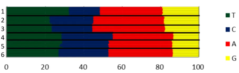 Figura  2:  Composição  de  bases  dos  genomas: Os  números  representam  as  sequências  de  todos  os  quatro  genomas: 1: tRNAs, 2:12s, 3:16s, 4:D-loop,  5: CDS, 6: Genoma Completo