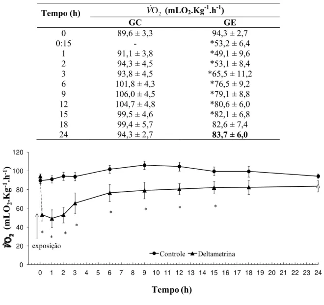 Tabela 2. Valores médios da taxa metabólica  V &amp; O 2  (mLO 2 .Kg -1 .h -1 ) dos grupo controle (GC, n 