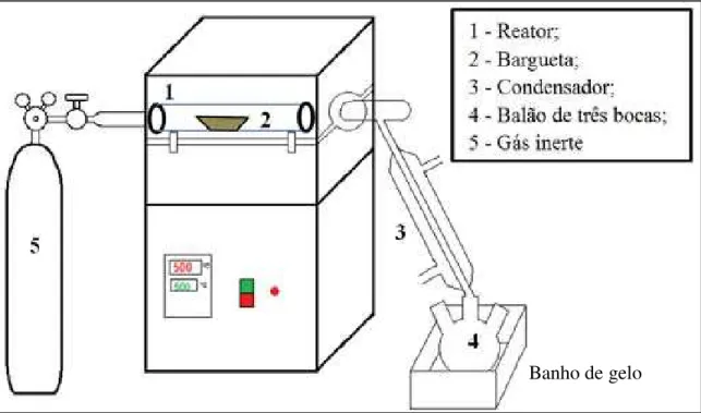 Figura 5.9 - Sistema utilizado para a pirólise térmica e catalítica dos resíduos de vácuo