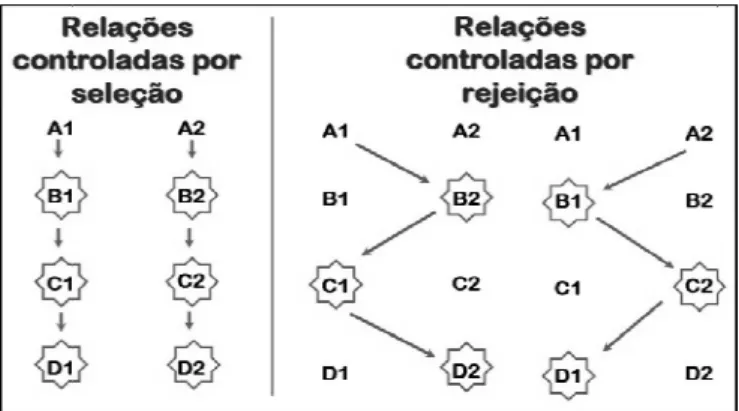 Figura 1. Tipos de relaçõe esquerda  são  apresentadas direita as relações formadas
