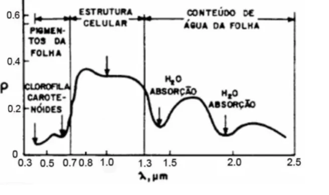 Figura 1: Comportamento espectral de uma folha verde, onde  ρ  é a amplitude e µm  o comprimento da onda eletromagnética