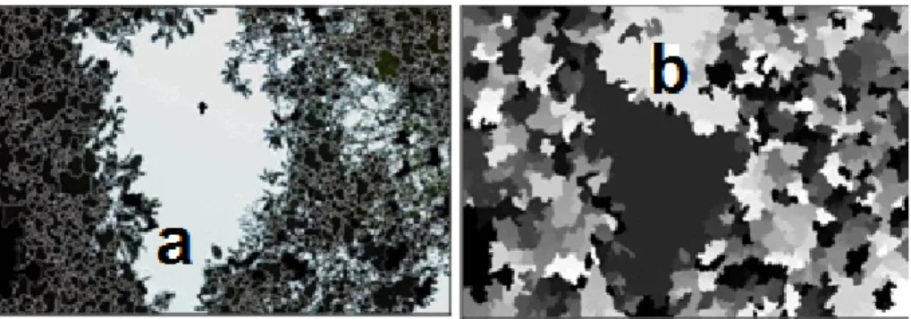 Figura 2: Mostra um exemplo de imagens produzidas pelo algoritmo Jseg com: (a)  imagem segmentada e (b) imagem mapa das regiões