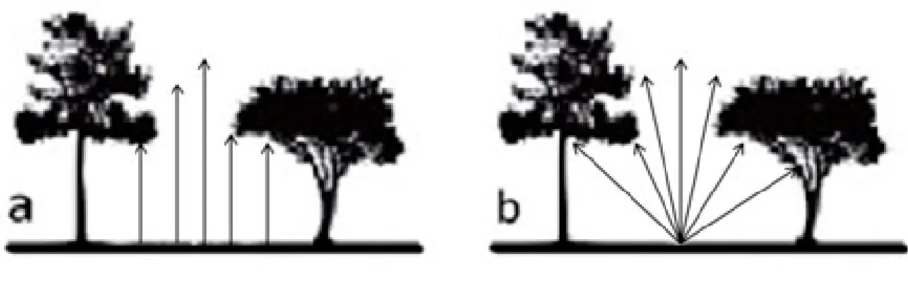 Figura 1: Mostra a diferença entre: (a) cobertura do dossel e (b) oclusão do dossel.  