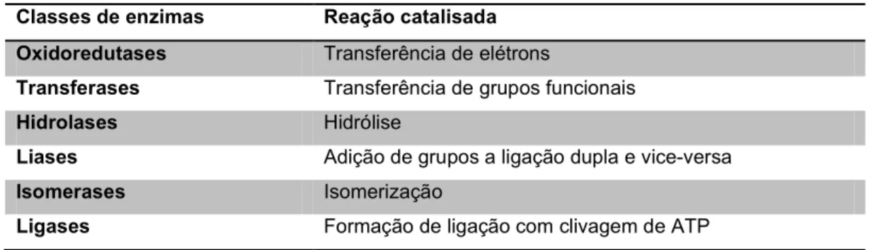 TABELA 1.2   Classificação das enzimas de acordo com o tipo de reação realisado 22 .  Classes de enzimas  Reação catalisada 