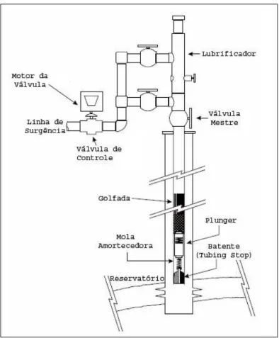 Figura 2.5: Equipamento Básico para o Método de Elevação Artificial Plunger Lift