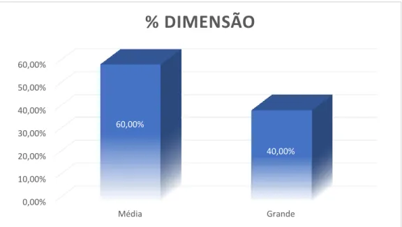 Gráfico 1: Frequência Percentual dos Municípios em Estudo 