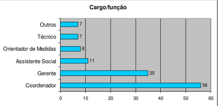 Figura 1: Cargo/Função daqueles que responderam ao questionário