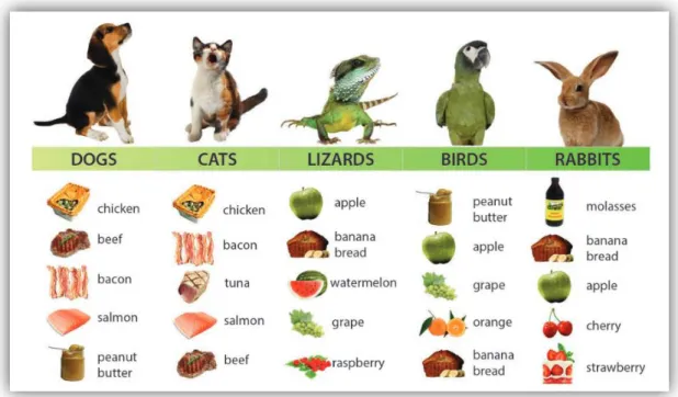 Figura 9 - Preferência de sabores de alguns animais de companhia (fonte: catálogo  FLAVORx) (40)