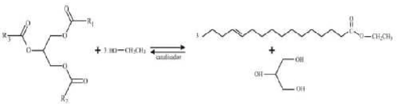 Figura 2.4. Transesterificação de Triglicerídeo com Etanol.