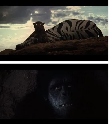 Figura  1.  A  fera  de  olhos  brilhantes  e  o  medo  no  close-up  do  homem-macaco (KUBRICK, 1968)