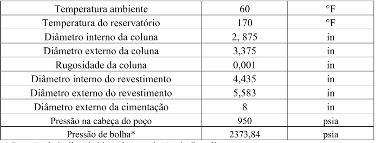 Figura 16. Geometria da coluna de produção do poço 1    