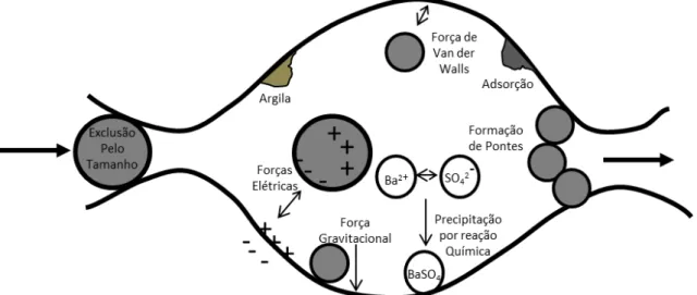Figura 1-1 - Tipos de Mecanismos de captura de partículas em meios porosos (Fonte: Sallum, 2008) 