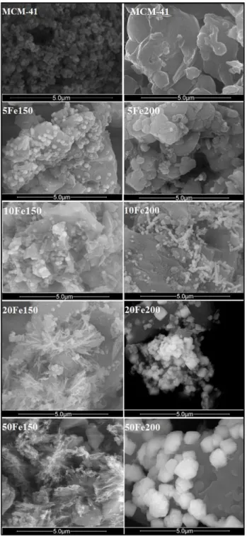Figura 3.6. Imagens micrográficas de varredura da matriz MCM-41 e das séries Fe150  e Fe200