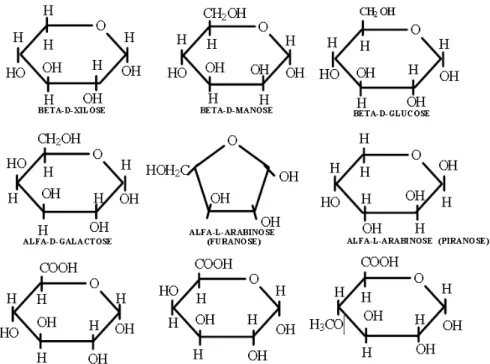Figura 4 – Açúcares componentes das hemiceluloses. 