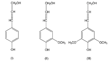 Figura  6  –  Precursores  primários  da  lignina:  álcool  p-cumarílico  (I),  álcool  coniferílico  (II)  e  álcool sinapílico (III)