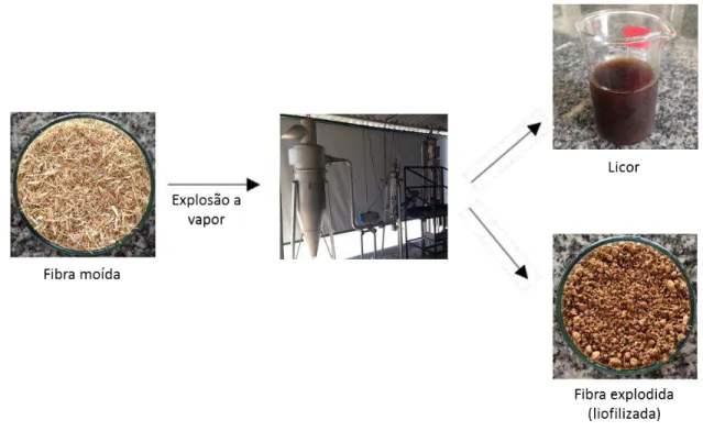 Figura 8  –  Esquema do processo de explosão a vapor do bagaço de cana-de-açúcar. 