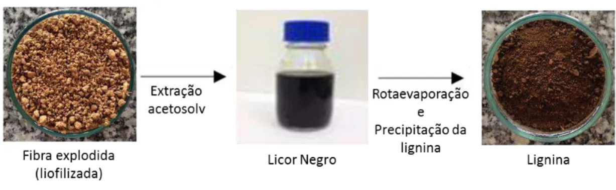 Figura 9  –  Esquema do processo de extração acetosolv do bagaço de cana-de-açúcar. 