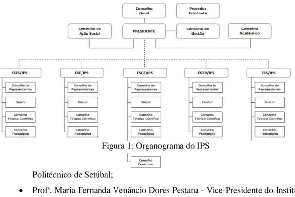 Figura 1: Organograma do IPS 