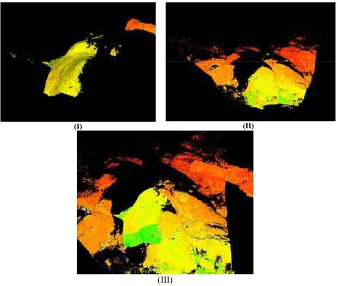 Figura 2-5 – Imagens de duas nuvens de pontos (I e II) e o registro de ambas (III), de um afloramento na  Serra das Confusões - PI