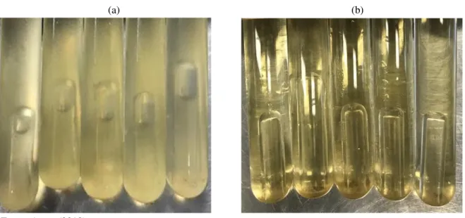 Figura 3.7 - Tubo Durhan - (a) Esgoto bruto com coliformes termotolerantes confirmados pela produção de gás,  (b) Esgoto bruto não há produção de gás, indicando ausência de microrganismos