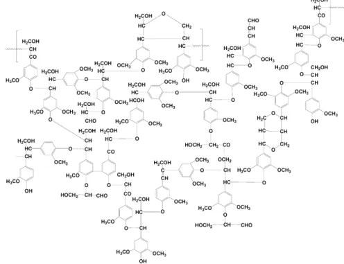 Figura 11- Estrutura parcial de uma molécula de lignina de madeira de faia européia (Fagus  sylvatica) 
