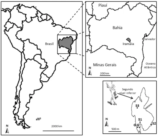 Figura 2.2 – Mapa da localização do Município de Iramaia no estado da Bahia (acima). Mapa do segundo  nível inferior da Gruta da Lapinha (abaixo) onde os espécimes LPP-M-120, 121 e 122 foram encontrados,  respectivamente,  nos pontos  S1, S2 e  S3