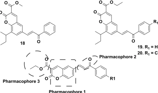 FIGURE 1.5 - Compounds showing potent anti-cancer activity. 