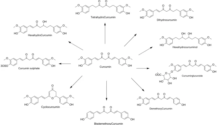 FIGURE 1.17 - Natural curcumin and its metabolits. 