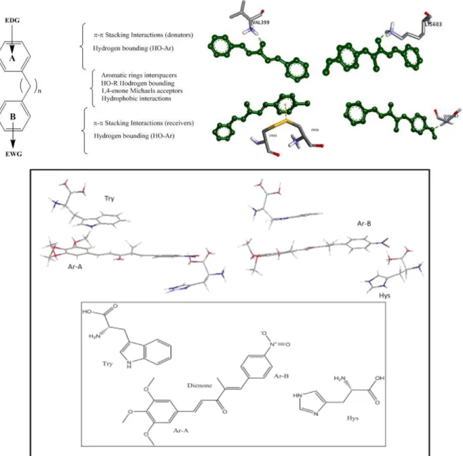 FIGURE 1.23 - Interaction representation of biphenyls. 