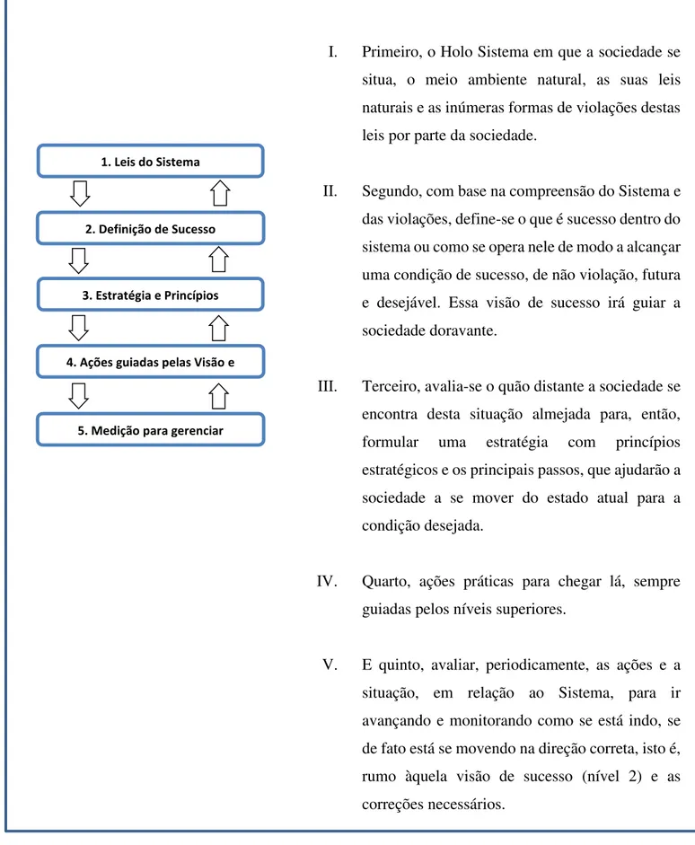 Figura 3 Esquema de retroalimentação em cinco níveis (FONTE: Elaborado pelo autor) 1. Leis do Sistema 